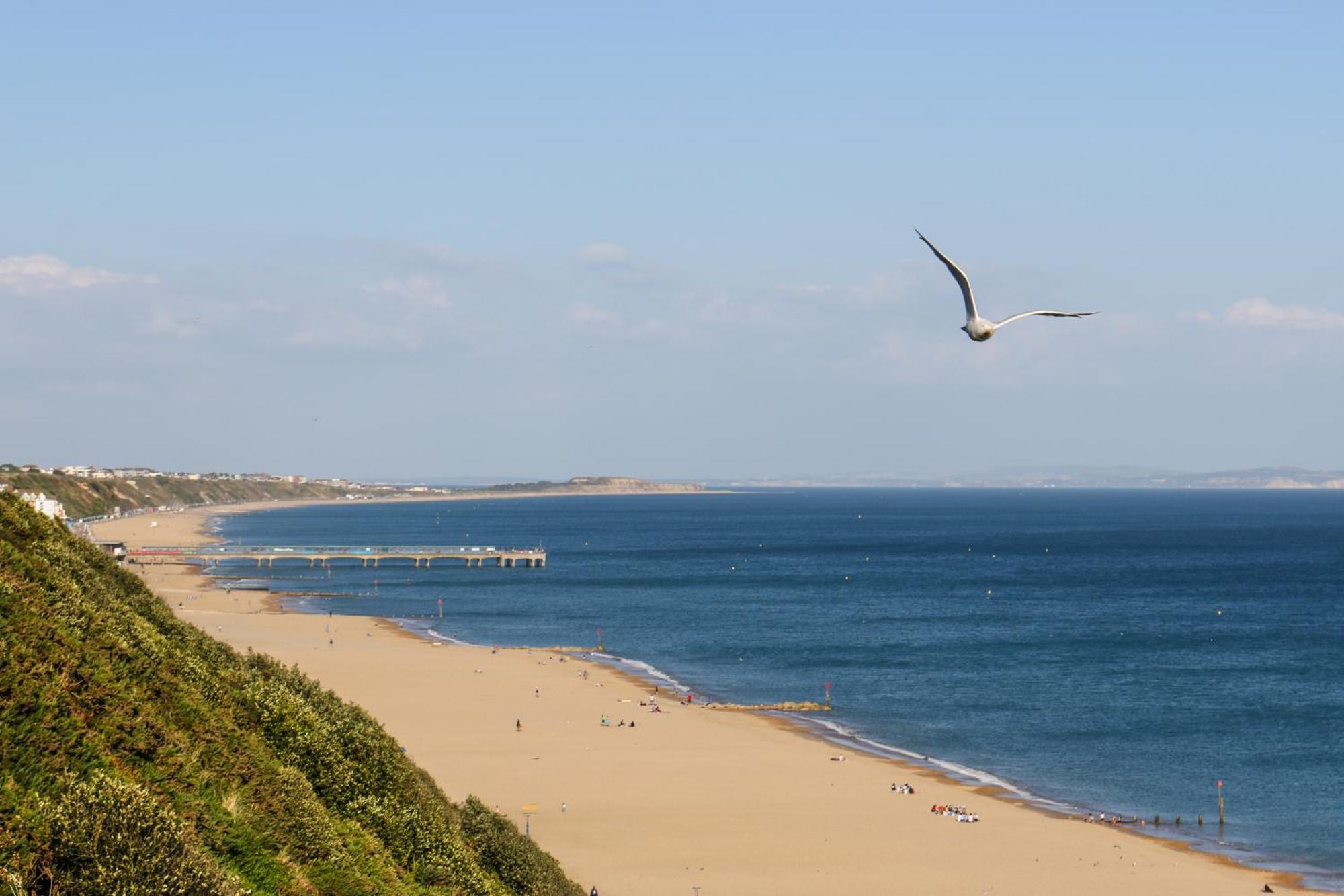Modern Town Centre Flat - Free Shared Parking, King Size Bed, 5 Minutes Walk To Beach Bournemouth Buitenkant foto